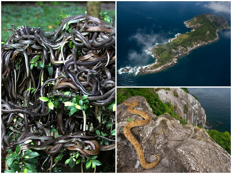Daftar 7 Pulau Paling Horor dan Terlarang di Dunia, Jangan Coba-coba Kunjunginya Berbahaya!
